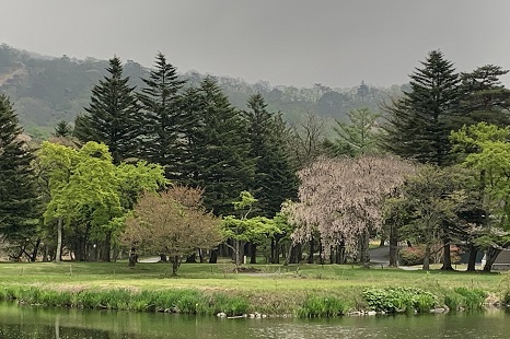 軽井沢研修