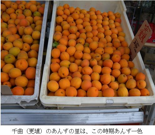 レストランなども大量に買い付けに来ます